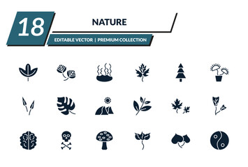 filled nature icons set - sassafras leaf, poplar leaf, fasciculate, gooseberry leaf. editable vector for web and mobile ui © IconArt