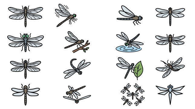Dragonfly Collection: Diverse Poses and Styles