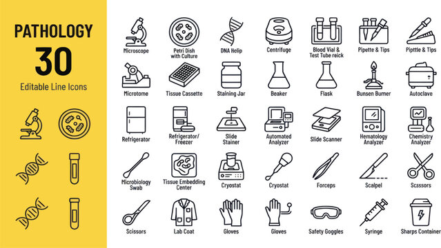Set of pathology and laboratory equipment line icons