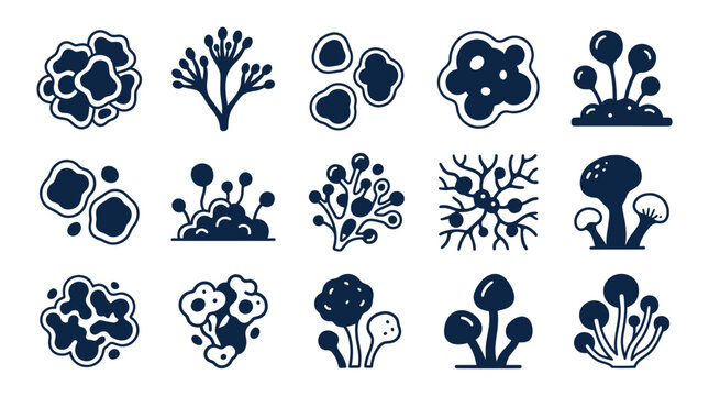 Diverse Fungi Icons Set: Mushrooms, Lichens, and Mold Illustrations