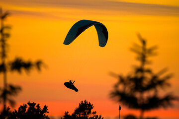 Silhouette of a paraglider pilot in the sunset over Hanstholm, Denmark © Lars
