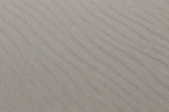 Dunes de sable sculpt&eacute;es par le vent sur le littoral de Trafaria au Portugal