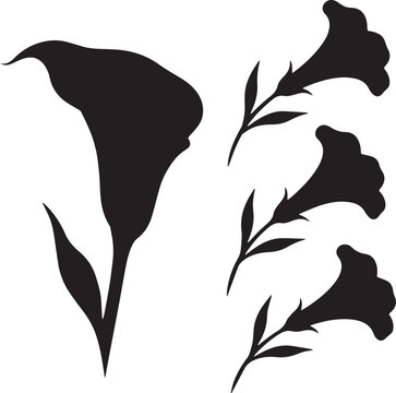 Black silhouette of elegant calla lily flowers and stems with silhouette botanical isolated illustration ornament blooming minimalist stylized