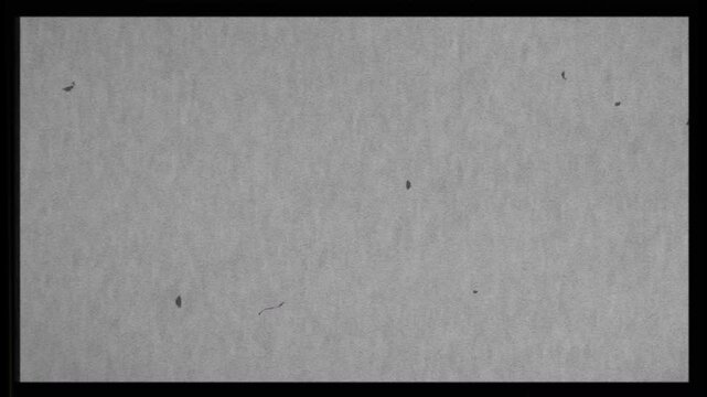 Old film vintage aesthetic overlay with dust and scratches effect.