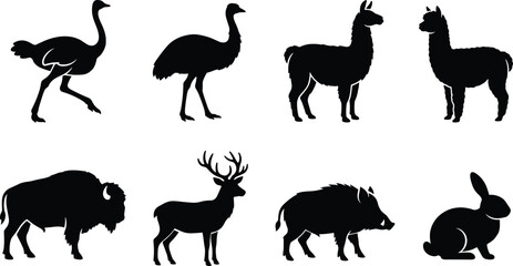 Silhouette collection of diverse animals including ostrich, emu, llama, alpaca, bison, deer, wild boar, and rabbit © Sohel