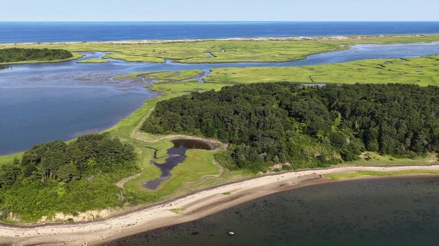 Narrow channels meander through a beautiful salt marsh in Pleasant Bay, Cape Cod. Marshes provide critical habitat for many birds, fish, and marine invertebrates to feed, mate, and nest.