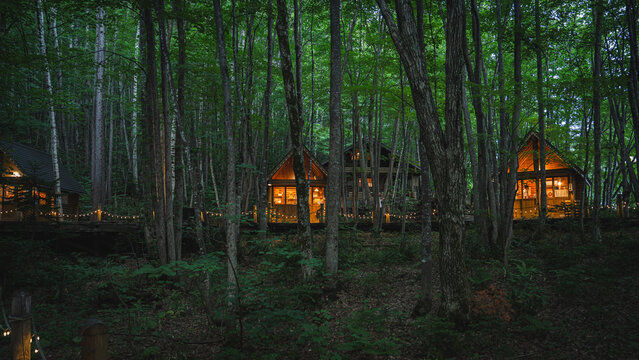 Forest cabin woodland twilight warm light tree retreat, cozy wooden hut glow among dense green foliage, quiet nature lodging scene for travel, camping, vacation, and escape