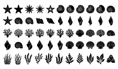 Obraz premium Seashell, Coral and Marine Botanical Silhouette Collection for Coastal and Ocean Nature Illustration Designs