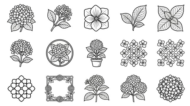 Hydrangea Flower Line Art Collection: Vector Illustrations