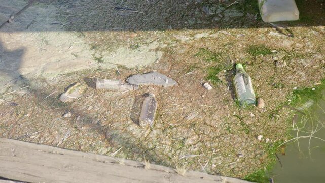 Discarded bottles and algae reveal pollution along urban waterfront