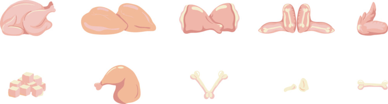 Raw chicken meat cuts icon set with fresh poultry parts including breast, thighs, wings, drumsticks, diced pieces, and bones for butcher shop graphics