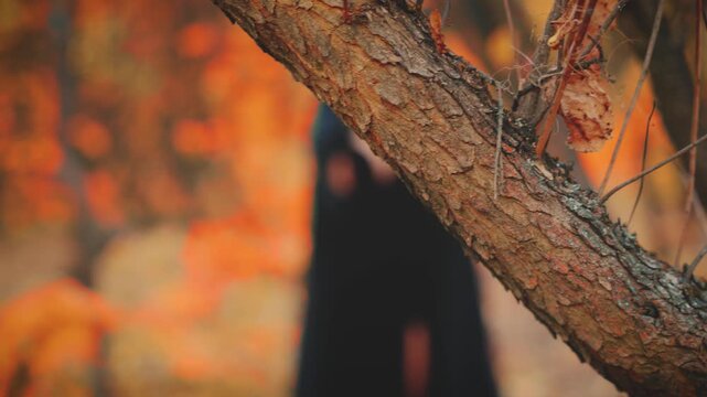 shooting through trees branches leaves gothic woman dark queen in black cape dress hood on head long gloves creative design dress mask on face. fantasy sexy girl walking in forest autumn nature park