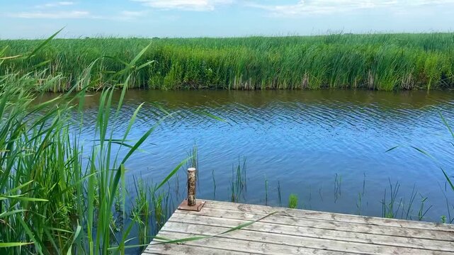Wooden Dock Leading Into Marsh Wetland 