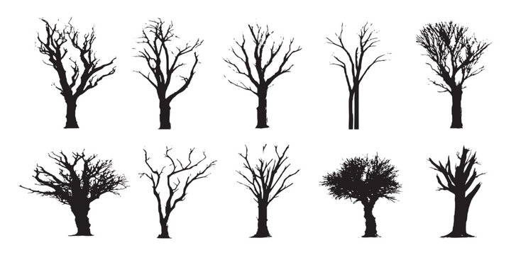 Silhouettes of bare dead trees without leaves in winter forest vector illustration set for spooky halloween design.