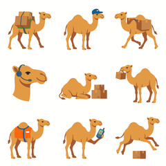 Obraz premium Camel mascot shipping and logistics delivery service vector character set