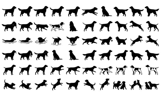 Retriever and Sporting Dogs Black Silhouette Vector Pack for Veterinary and Pet Branding
