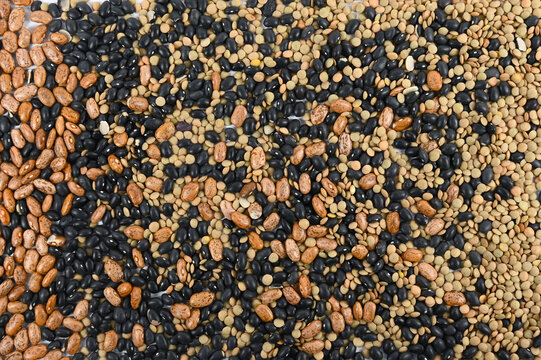 Black and pinto and lentil beans scattered across the frame with no white space