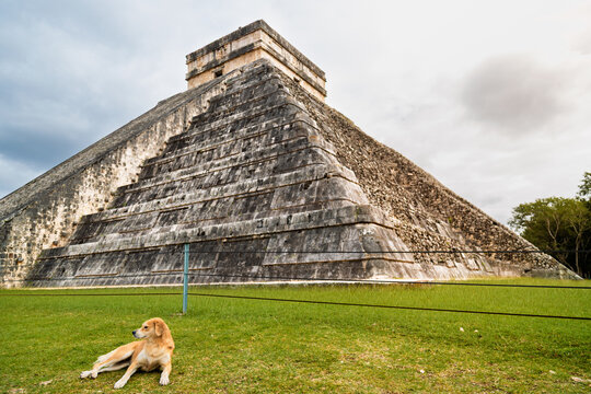 Dog sitting on the grass in front of the Kukulkan pyramid at Chichen Itza, Mexico