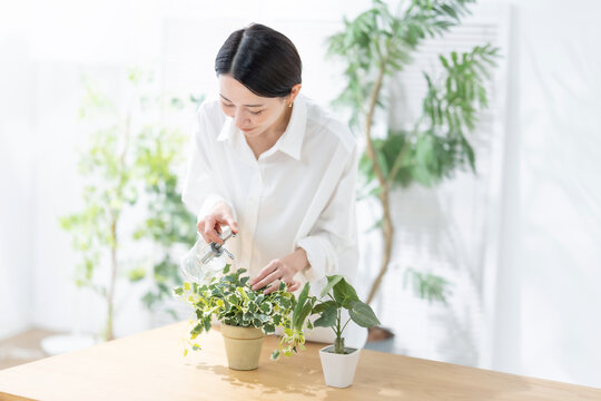 観葉植物の手入れをする女性