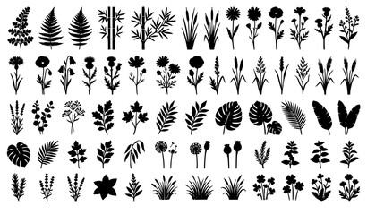Black Plant and Flower Silhouettes Vector Set Ferns Bamboo Reeds and Wildflowers © MdArif