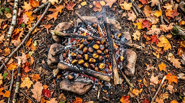 Roasting chestnuts over a campfire in an autumn forest