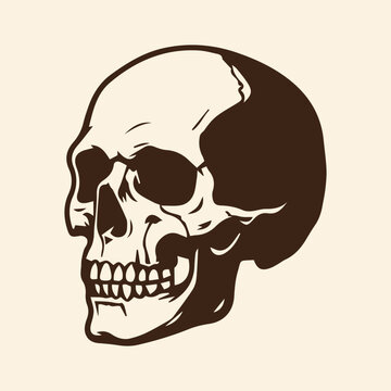 Vintage human skull side profile view vector illustration