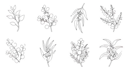 Minimalist eucalyptus branch line art, set of 8 botanical leaf vector illustrations, delicate hand drawn floral greenery sketches for wedding stationery © MUHAMMAD