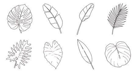 Minimalist tropical leaf line art collection, 8 black and white botanical vector icons, hand drawn monstera and palm foliage elements for logo design © MUHAMMAD