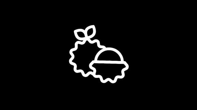 Stylized white outline icons of two tropical fruits, durian and lychee, on black background