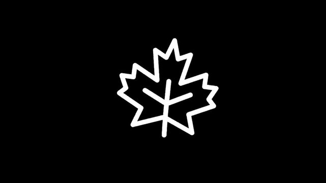 Simple white maple leaf icon on a black background, representing nature and Canada