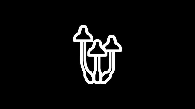 Stylized white line art of three mushrooms with small circles floating around them on a black background