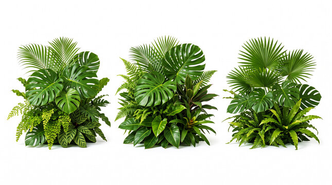 Three lush vertical garden panels with various tropical green leaves isolated on white background