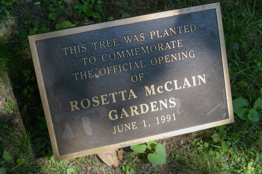 plaque at Rosetta McClain Gardens, 5 Glen Everest Rd, Scarborough, Toronto (tulip tree or Liriodendron tulipifera)