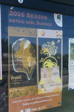 posters in Toronto (Gothic Girl Summer)