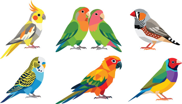 Stylized Geometric Pet Bird Illustration Set Featuring Cockatiel Budgie Lovebirds Sun Conure and Finches