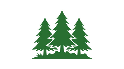 Obraz premium Three green pine trees in a row.
