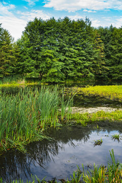 natural landscape with an oxbow lake in the Bug River valley in Poland