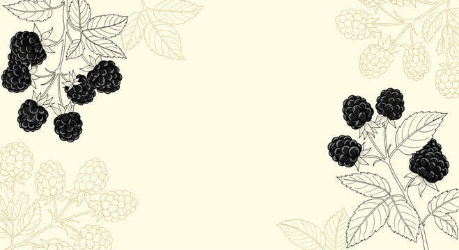 Elegant background frame featuring hand drawn sketches of black blackberries with green leaves on light beige.
