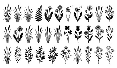 Fototapeta premium Large wild meadow grass and flower silhouette collection with dandelions ferns and botanical plants vector set