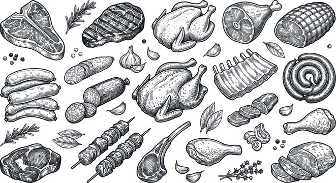 Vintage Hand Drawn Meat and Poultry Illustration Set with Beef Steaks Ribs Chicken Sausages and Kebabs for Butcher Shop Menus and Barbecue Restaurant Branding