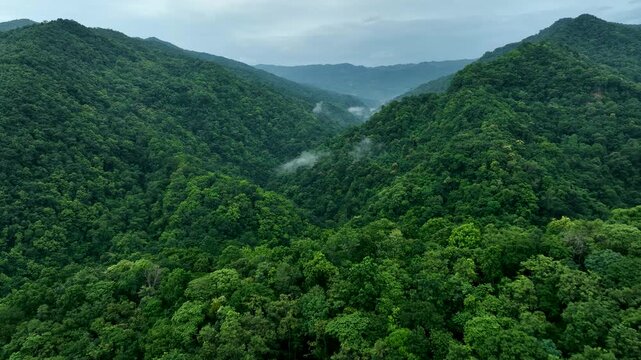 Misty Mountain Forest Landscape in Thailand with Soft Clouds and Sustainable Nature Concept