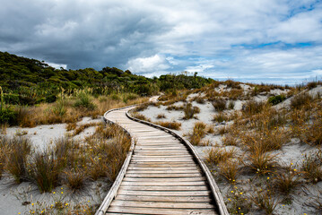 Fototapeta premium path to the sea