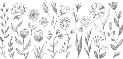 Una colección de flores dibujadas a mano con varias flores silvestres, rosas y botánicos en gris © Ripa_Moni