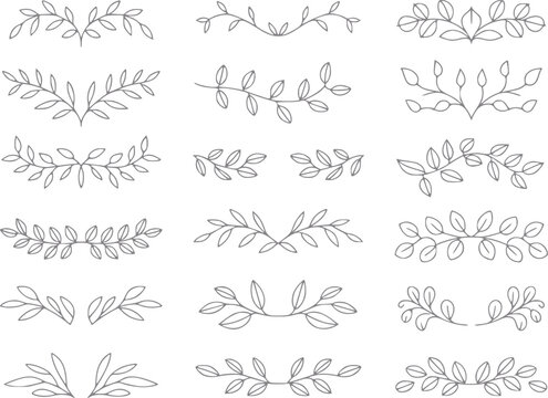Una colecci&oacute;n de divisores florales dibujados a mano y ramas frondosas decorativas para proyectos