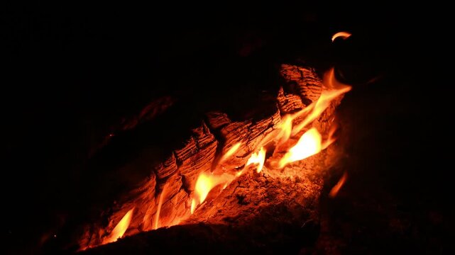 intense burning of wooden log in center of night bonfire with bright orange tongues