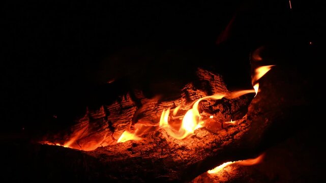 lower flame of bonfire creeps over charred firewood on ground of night camp