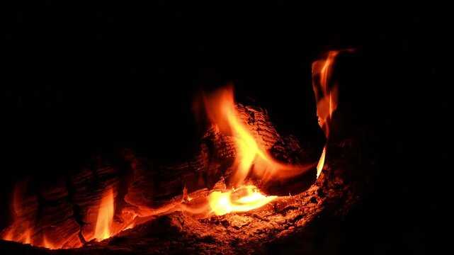 flame tongues envelop large wooden logs in bonfire amidst darkness of southern night