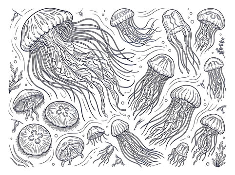 Intricate Line Art Depicting a Swarm of Jellyfish in a Dynamic Underwater Scene Rendered in Monochrome