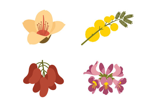 Savanna scrub plant vector set featuring baobab flower yellow acacia golden wattle tamarind pod cluster and pink trumpet blossom isolated illustration