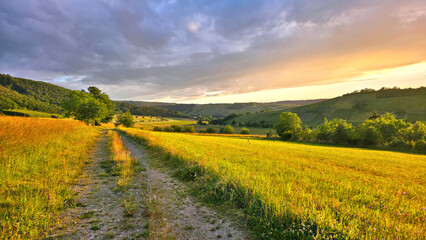 Naklejka premium Summer sunset view over beautiful rolling fields and hills of the Mosel region of Germany